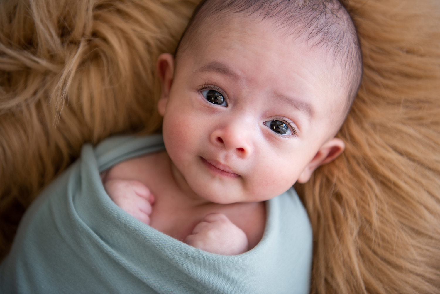 Newborn Photography | 200828_008_copy.jpg